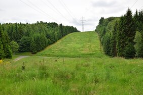 Ehemaliger Grenzstreifen soll als Nationales Naturmonument ausgewiesen werden 