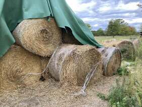 Strohballen werden oft mit Erntegarn gebunden, um sie in Form zu halten und zu fixieren