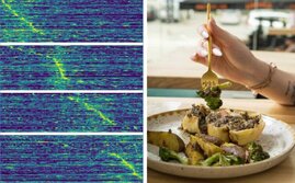 Teller mit Essen