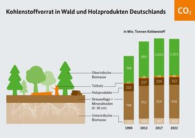 Grafik: Veränderungen des Kohlenstoffvorrates in Wald und Holzprodukten.
