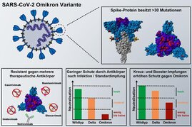 Omikron-Spike Antikörper