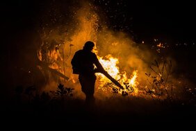 Das empfindliche Ökosystem des Cerrado ist zunehmend durch Waldbrände bedroht. 