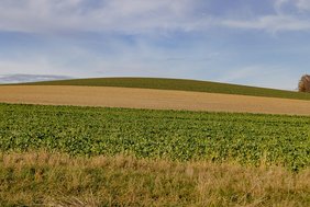 Landwirtschaftliche Felder