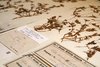 Ausschnitt aus einem Herbariumbogen des Wilden Stiefmütterchens (Viola tricolor L. subsp. curtisii (E.Forst.) Syme) aus dem Herbarium Haussknecht. Ausschnitt aus einem Herbariumbogen des Wilden Stiefmütterchens