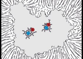 Im Innern des Proteins Diheme-Cytochrom befinden sich Calciumionen in unmittelbarer Nähe der Stelle, wo Elektronen gespeichert sind (vereinfachte Darstellung im Querschnitt).