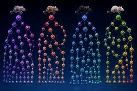 Der individuelle genetische Hintergrund steuert die Evolution von Krebs Grafik KI generiert