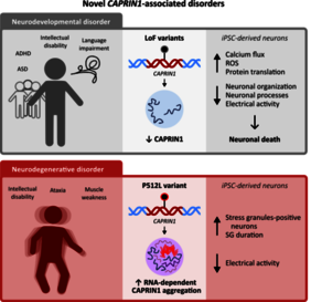 Genmutationen