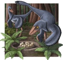 Analyse von Dinosaurier-Eierschalen