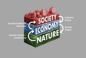 Das neue Modell nachhaltiger Entwicklung: Natur, Wirtschaft und Gesellschaft inkl. Rückkopplungsschleifen. Grafik Das neue Modell nachhaltiger Entwicklung: Natur, Wirtschaft und Gesellschaft inkl. Rückkopplungsschleifen.