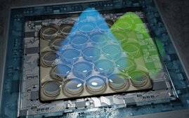 Schematische Darstellung des hoch empfindlichen Detektors. Dieser besteht aus 23 einzelnen Detektoren, wodurch die Auflösung des Fluoreszenzmikroskops verdoppelt werden konnte. Schematische Darstellung des neuen Mikroskops