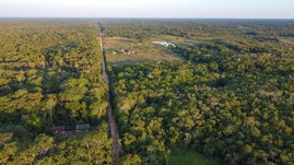 Regenwald im peruanischen Amazonasgebiet. 