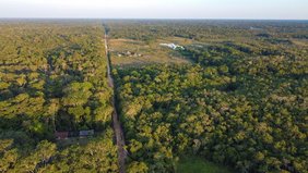 Regenwald im peruanischen Amazonasgebiet. 