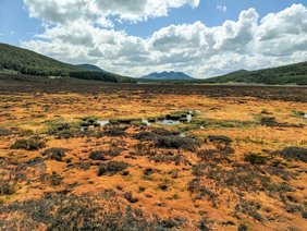 Moorlandschaft in Feuerland (Bright Spot Turba Tol) 