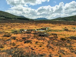 Moorlandschaft in Feuerland (Bright Spot Turba Tol) Moorlandschaft in Feuerland (Bright Spot Turba Tol)