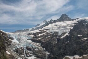 Oberer Grindelwald Gletscher und Schreckhorn (h.r.) in den Berner Alpen.