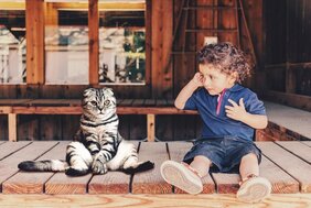 Das Gehirn scheint zwei verschiedene Strukturen zu besitzen, durch die wir uns in andere hineinversetzen können. Diese reifen zu unterschiedlichen Zeitpunkten heran, sodass erst Vierjährige die Denkweise eines anderen nachvollziehen können – und nicht, wie bislang angenommen, bereits Einjährige. 