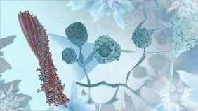 KI-Bild Pilze haben evolutionär Gene von Bakterien adaptiert und können damit Wasser einfacher zum Gefrieren bringen. 