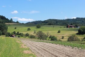 Landwirtschaftsflächen