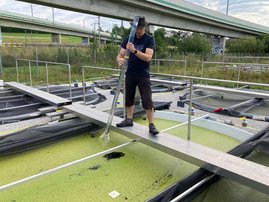 Dr. Martin Schäfer nimmt eine Wasserprobe aus einem der Versuchsteiche. 