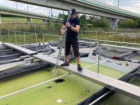 Dr. Martin Schäfer nimmt eine Wasserprobe aus einem der Versuchsteiche. 