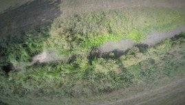 Luftaufnahme: Ein ausgetrocknetes Fließgewässer im Demnitzer Mühlenfließ in Brandenburg. 