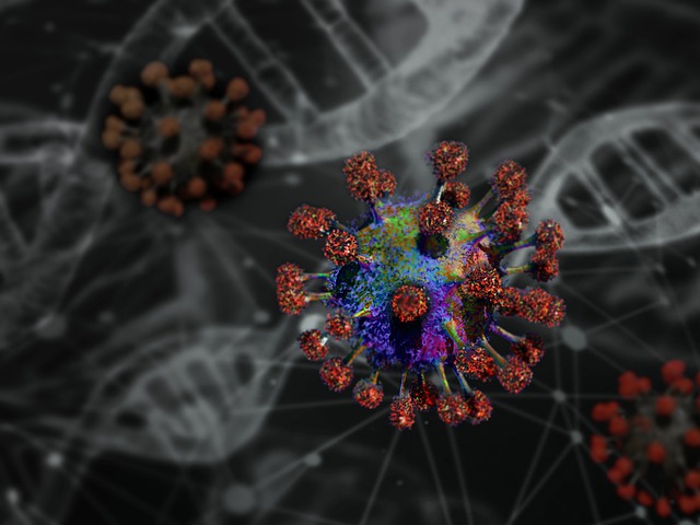 Illustration desCoronavirus