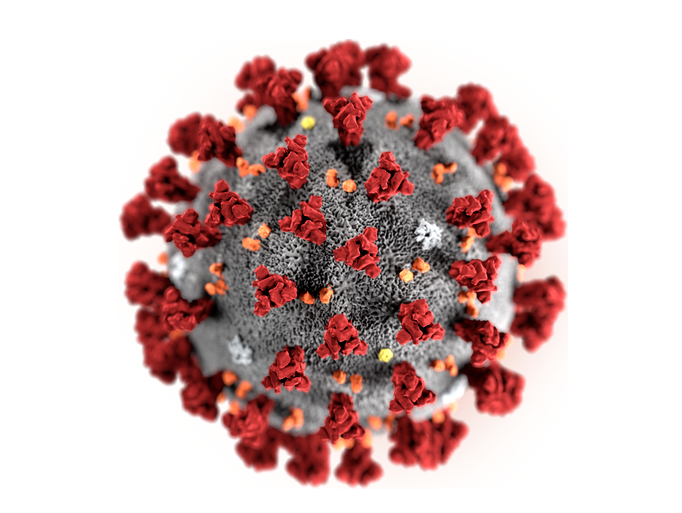 Coronavirus Coronavirus