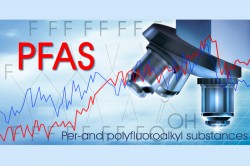 PFAS Immunsystem