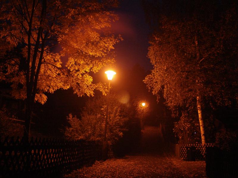 Weg mit Bäumen bei nacht mit Straßenlaterne künstliches Licht