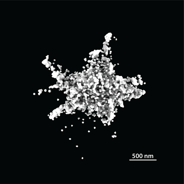 Endogener ASC-Speck, abgebildet in 3D mit dSTORM 