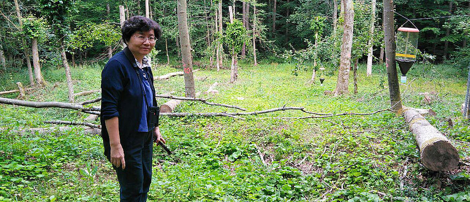 die Mathematikerin und Statistikerin Anne Chao von der National Tsing Hua University in Taiwan. Hier ist sie im Universitätswald der JMU auf einer experimentellen Probefläche.
