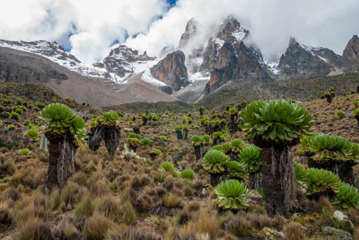 Mount Kenia: Eine von drei Gletscherregionen Afrikas, die nicht weit vom Äquator entfernt mitten in den Tropen liegen 