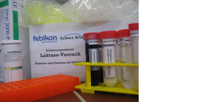 Foto des Experimentierkit „Laktaseassay und Proteinbestimmung“